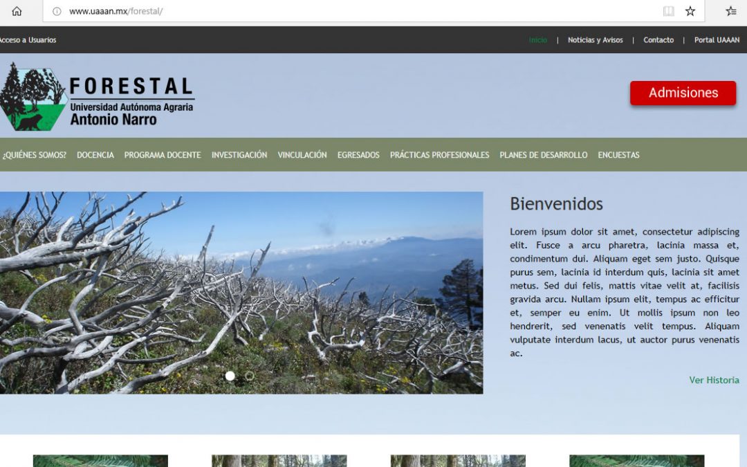 Forestal