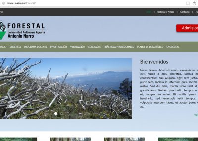 Forestal